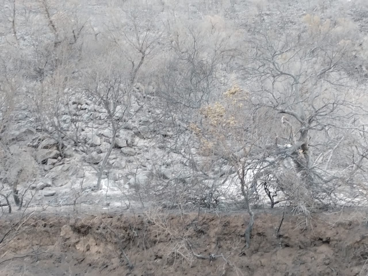 En carne propia: piden ayuda a su familia en Córdoba afectada por el fuego 